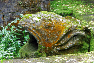 tl_files/Fotos/Allgemein/Wasserversorgung Kloster/lutterquelle_2.jpg