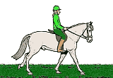 tl_files/Fotos/Allgemein/animals/horse24.gif