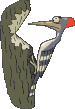 tl_files/Fotos/Allgemein/birds/mix_040.gif