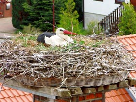 tl_files/Fotos/Altmark/Rohrberg-Feldsteinkirche-Storchennest-von-oben-IMG-1021.jpg