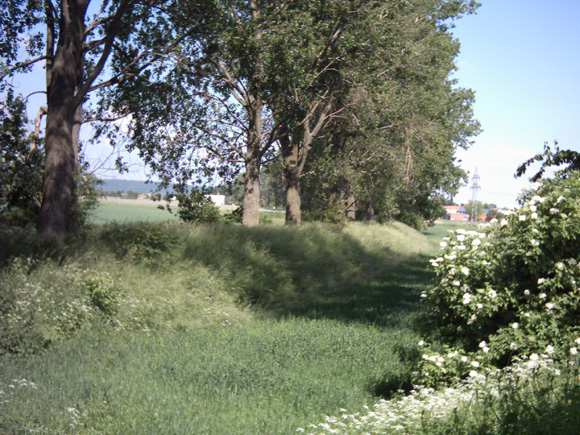 tl_files/Fotos/Eisenbahn/Bahndamm_Kalibahn_.jpg