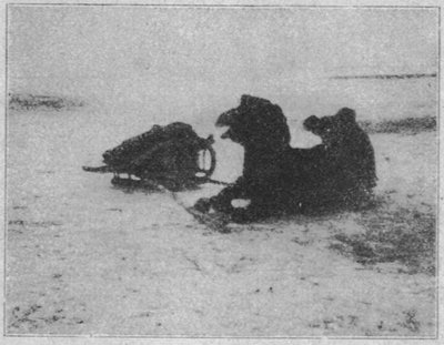 tl_files/Fotos/Fridtjof-Nansen/Auch-die-Retter-der-Wueste-erliegen-der-Not-2.jpg