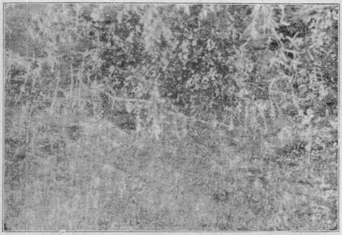 tl_files/Fotos/Fridtjof-Nansen/Die-Erde-verbrannt-2.jpg