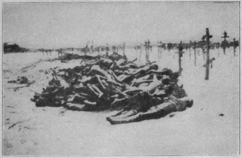 tl_files/Fotos/Fridtjof-Nansen/Die-Ernte-des-Tages-1.jpg