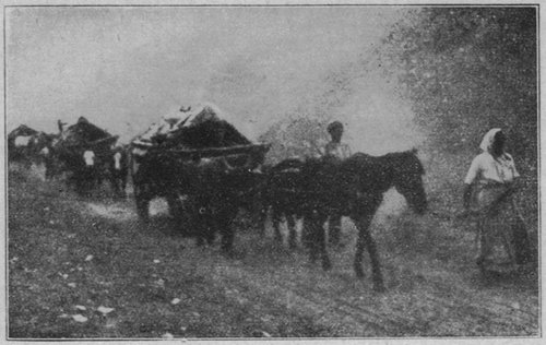tl_files/Fotos/Fridtjof-Nansen/Menschen-auf-der-Flucht-1.jpg