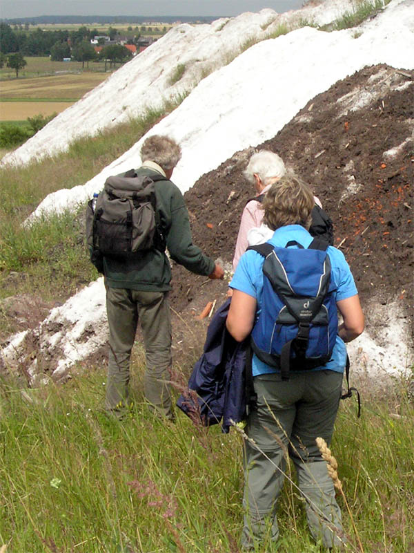 tl_files/Fotos/Geologie_Klages/Abraumhalde-Salzfoerderung-Beienrode-IMG-P7070582.jpg