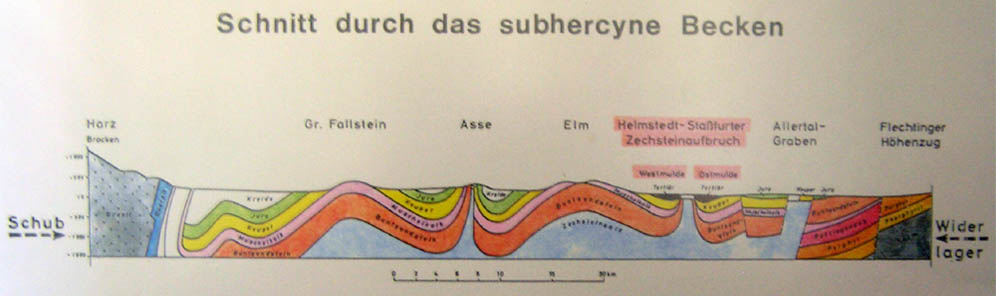 tl_files/Fotos/Museumshof Emmerstedt/Schnitt-durch-das-subherzynische-Becken-IMG-P4240114-Museumshof-Emmerstedt.jpg