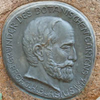 tl_files/Fotos/Pflanzenwelt/Prof-J.H.Blasius-small.jpg