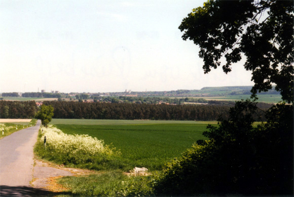 tl_files/Fotos/Pflanzenwelt/wanderung_1.jpg