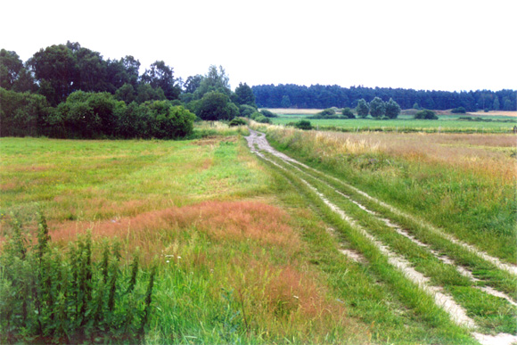 tl_files/Fotos/Pflanzenwelt/wanderung_2.jpg