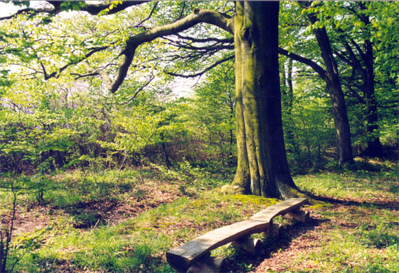 tl_files/Fotos/Pflanzenwelt/wanderung_4.jpg