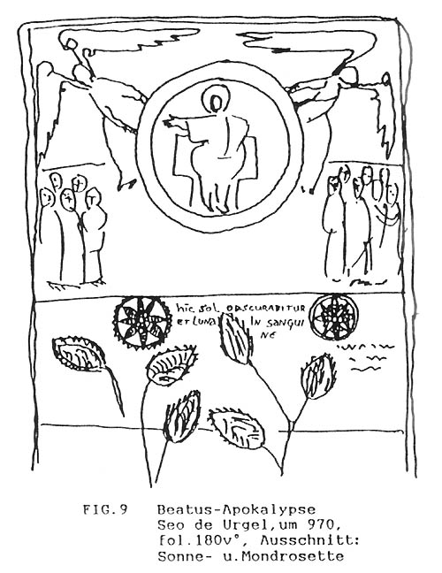 tl_files/Fotos/Pietro-Maggi/Pietro-Maggi-Diss-1986-Anhang-Fig-9.jpg