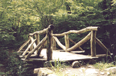 tl_files/Fotos/Schoeningen/animacion.gif