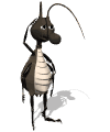 tl_files/Fotos/Schoeningen/insecte_coleoptere005.gif