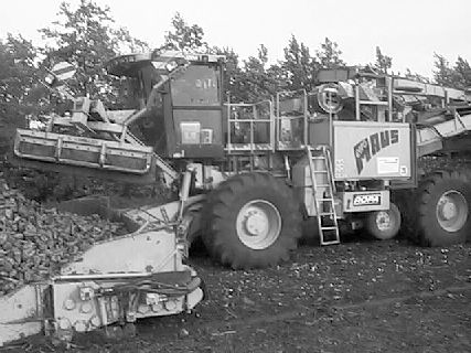 tl_files/Fotos/Schoeppenstedt/Lademaus.jpg