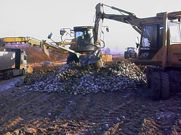 tl_files/Fotos/Schoeppenstedt/Mieten_aufknacken.jpg