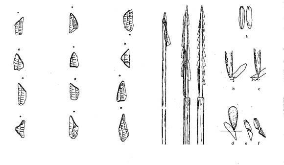 tl_files/Fotos/Spurensuche_Archaeologie/Mikrolithen.jpg